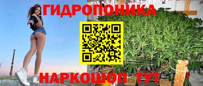 прущие крисы Партизанск