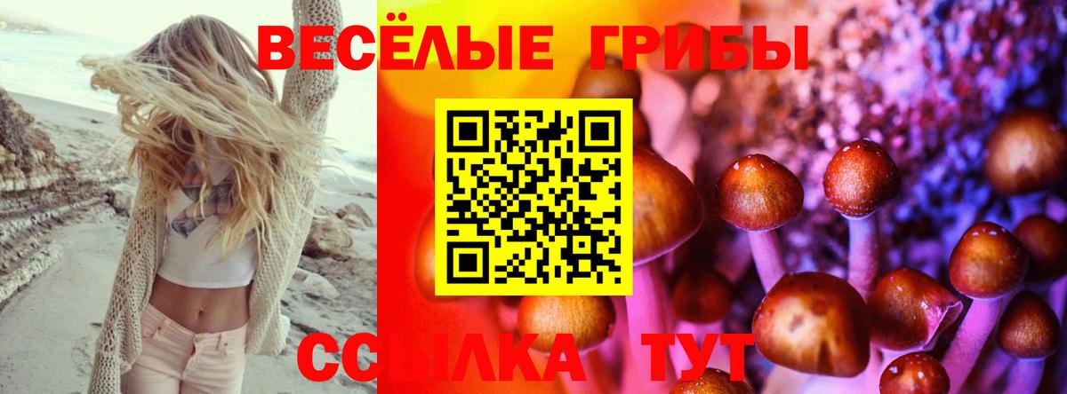 Псилоцибиновые грибы ЛСД  Вход с VPN  Сунжа  Галлюциногенные грибы GOLDEN TEACHER 